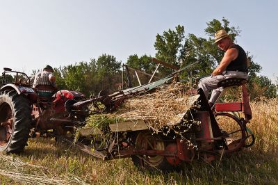 Cliquez pour voir l'image en taille relle