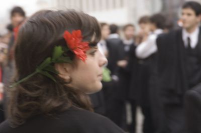 Cliquez pour voir l'image en taille relle