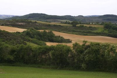 Cliquez pour voir l'image en taille relle