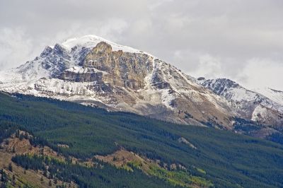 Cliquez pour voir l'image en taille relle