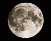 lune_0637.jpg